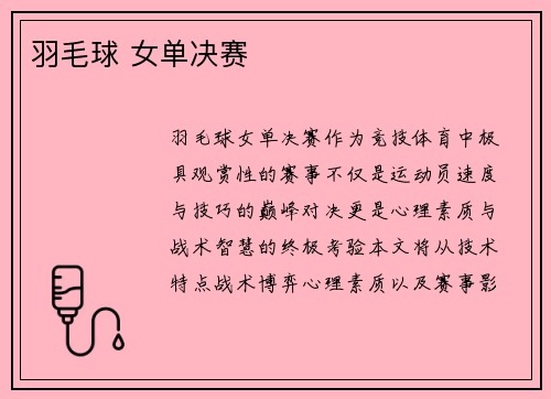 羽毛球 女单决赛